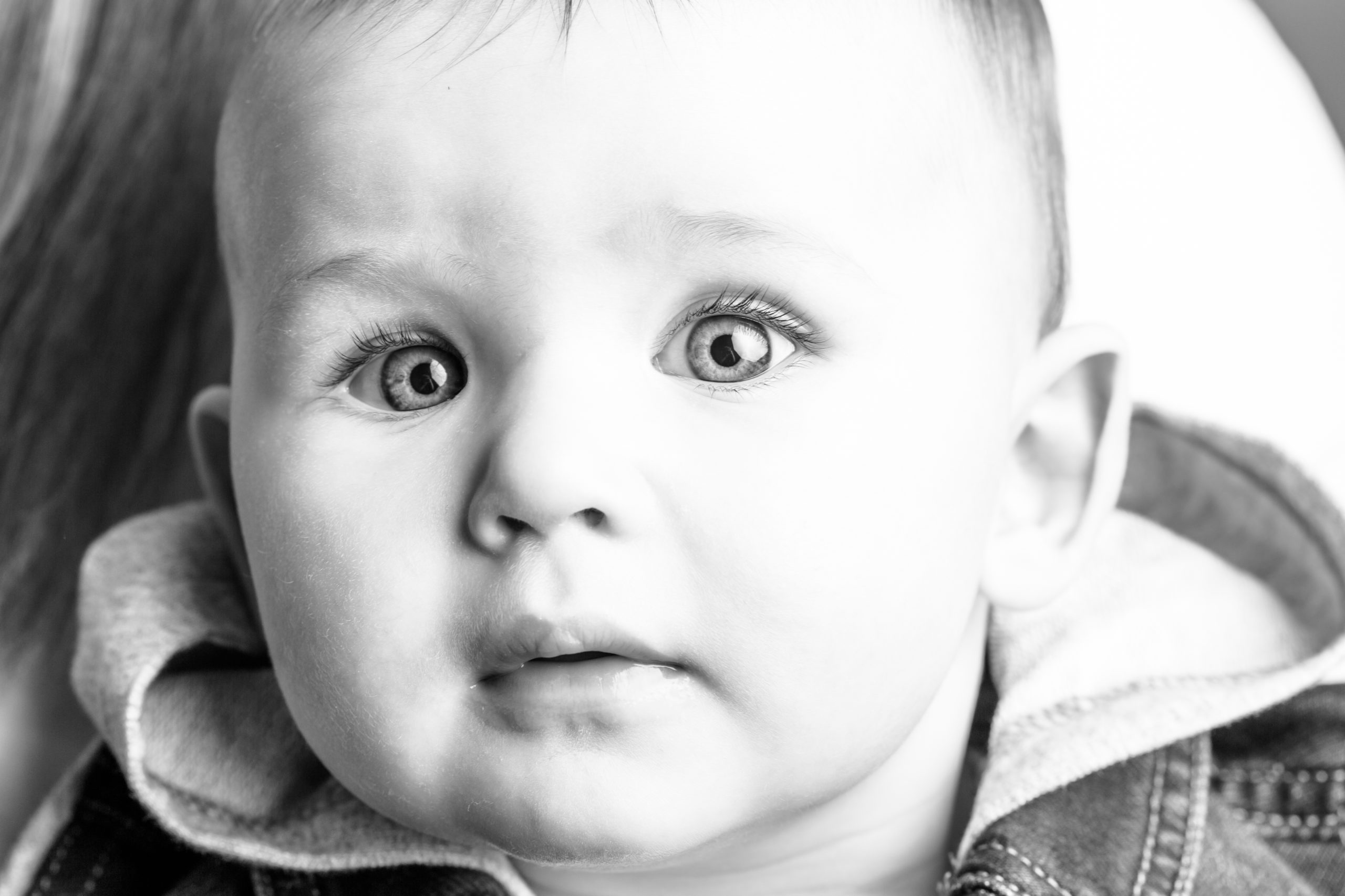photo 2-6 mois